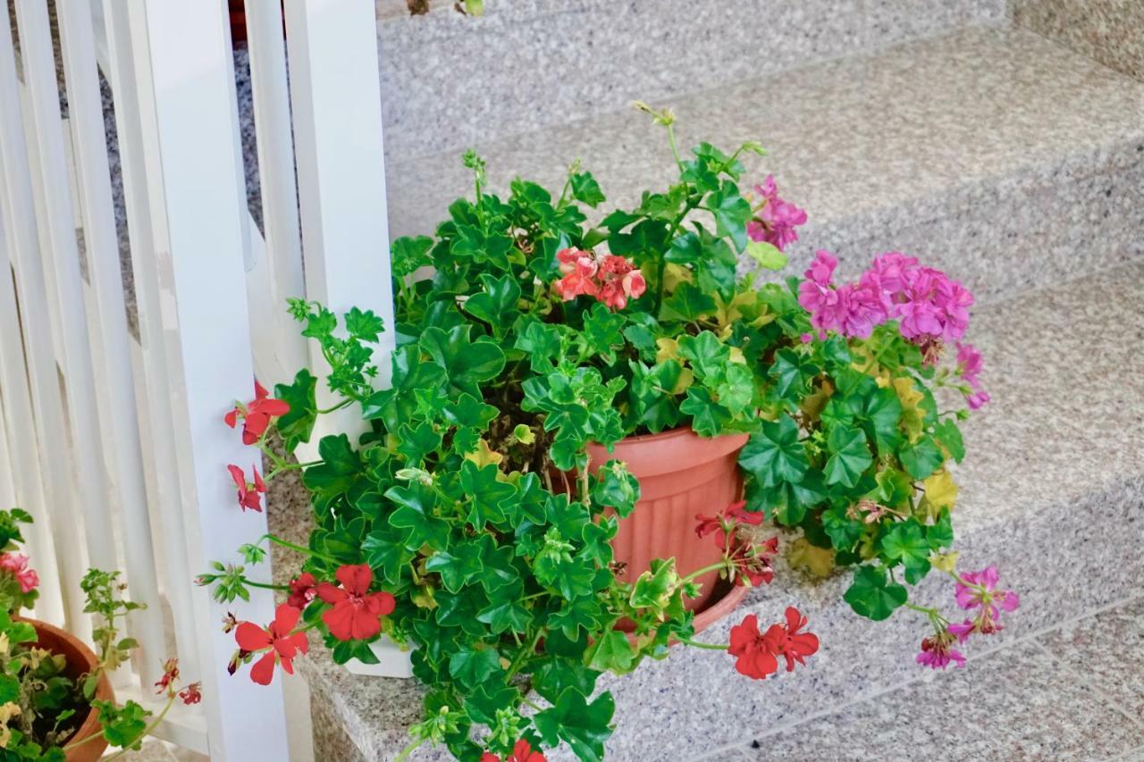 Rosette Apartment Seget Vranjica Exterior foto
